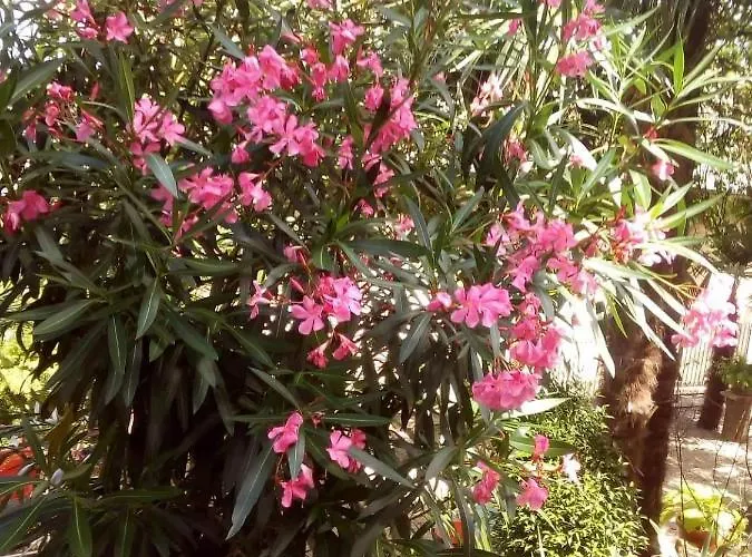 Luna Appartamento Abbazia